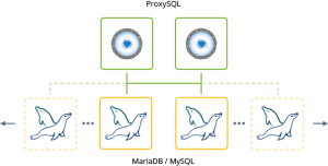 MYSQL