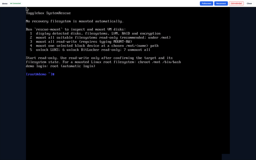 Rescue Mode console showing the Togglebox SystemRescue prompt and the rescue-mount helper options for mounting VM disks read-only or read-write